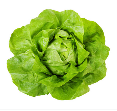 A bag of fresh, vibrant Fancy Butterhead lettuce with its loose, soft leaves and light green color.