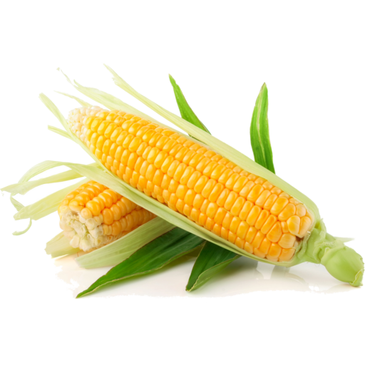 SWEET CORN FRESH EACH (KĀNGA)