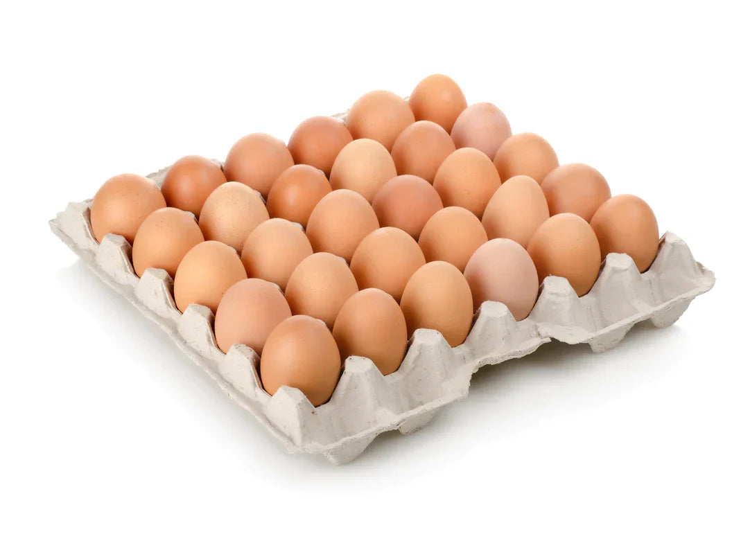 EGGS FREE RANGE 20CT
