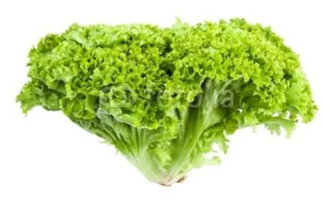 LETTUCE FANCY LOLLO BIONDI BAG -  -    Farmers Box.