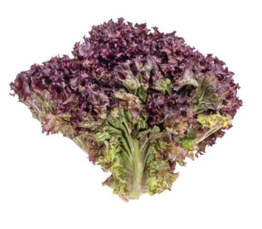 LETTUCE FANCY LOLLO ROSSO BAG -  -    Farmers Box.