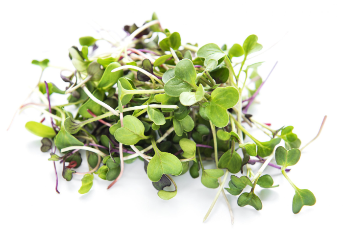 MICROGREENS MULTI-MIX 70GM