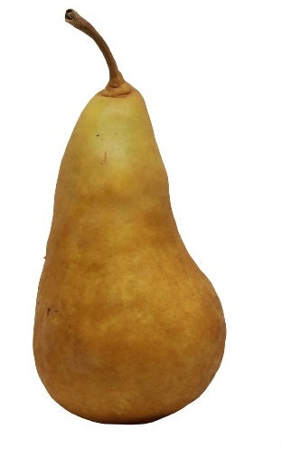 ORGANIC BOSC PEARS 1KG BAG(peera bosc)