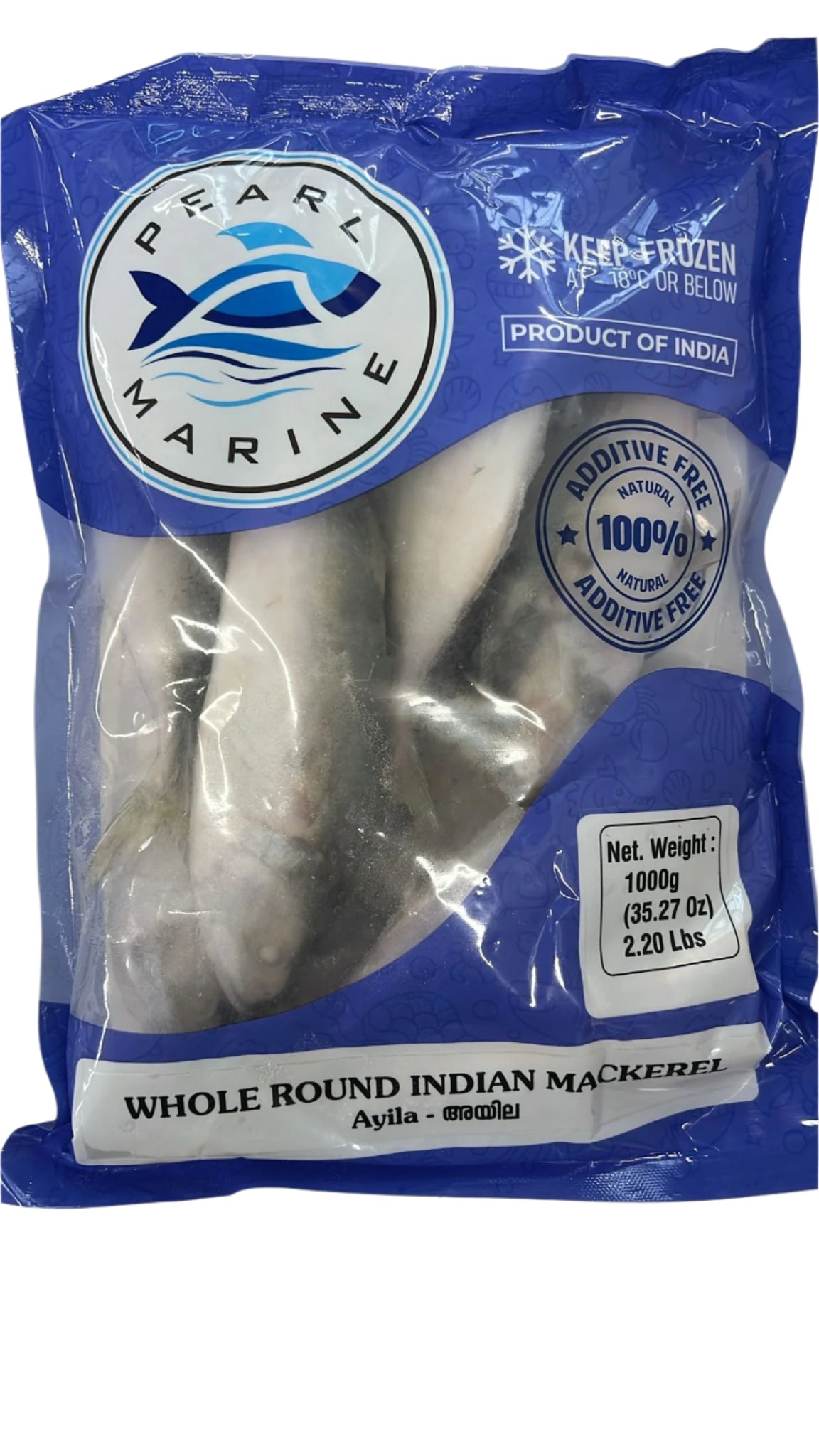 Frozen Fish Whole Round Indian Mackerel 1Kg