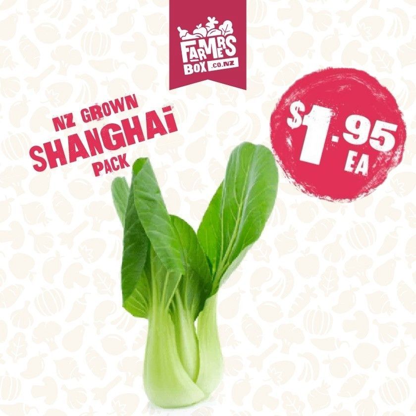 ASIAN SHANGHAI BAG(putea shanghai Ahia)