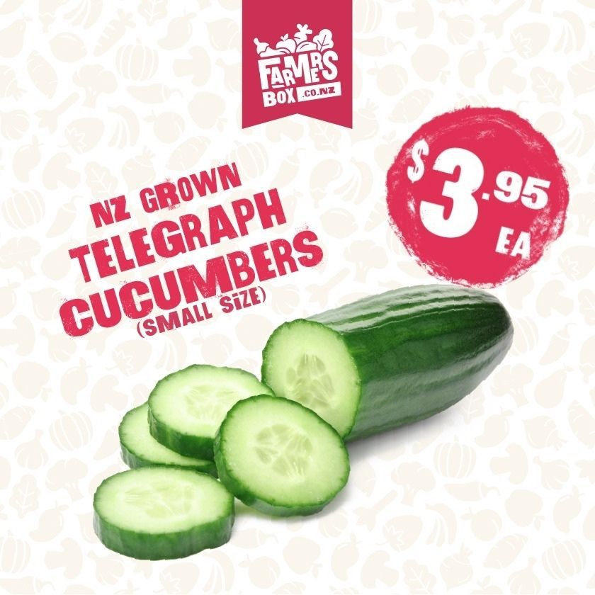 CUCUMBER TELEGRAPH EACH (Kukama Waea) - Small Size