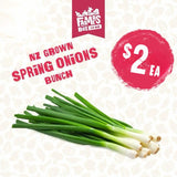 ONIONS SPRING BUNCH ( Aniana Puna)