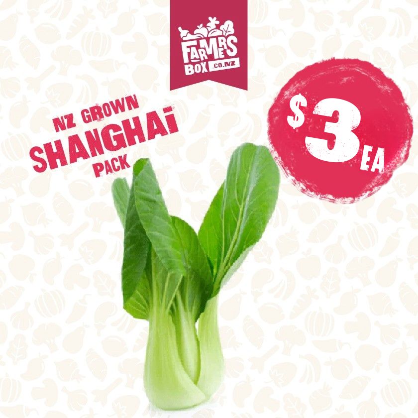 ASIAN SHANGHAI BAG(putea shanghai Ahia)