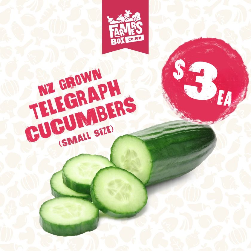 CUCUMBER TELEGRAPH EACH (Kukama Waea) - Small Size
