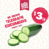 CUCUMBER TELEGRAPH EACH (Kukama Waea) - Small Size