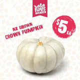 PUMPKIN CROWN MEDIUM ( papuka karauna)