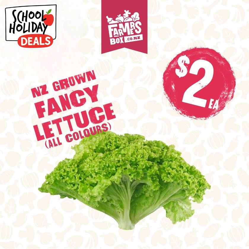 LETTUCE FANCY BUTTERHEAD BAG(rētihi pata whakapaipai)