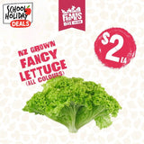 LETTUCE FANCY BUTTERHEAD BAG(rētihi pata whakapaipai)