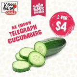 CUCUMBER TELEGRAPH EACH (Kukama Waea) - Small Size