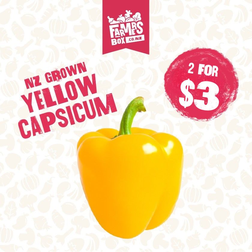 CAPSICUM YELLOW (Kowhai Kaupapa) (Medium Size)