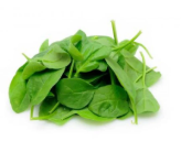 SPINACH BABY 300GM BAG