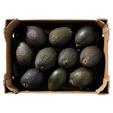 Large box of 20 fresh, ripe Hash avocados ready for delivery