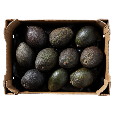 Large box of 20 fresh, ripe Hash avocados ready for delivery