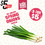ONIONS SPRING BUNCH ( Aniana Puna)