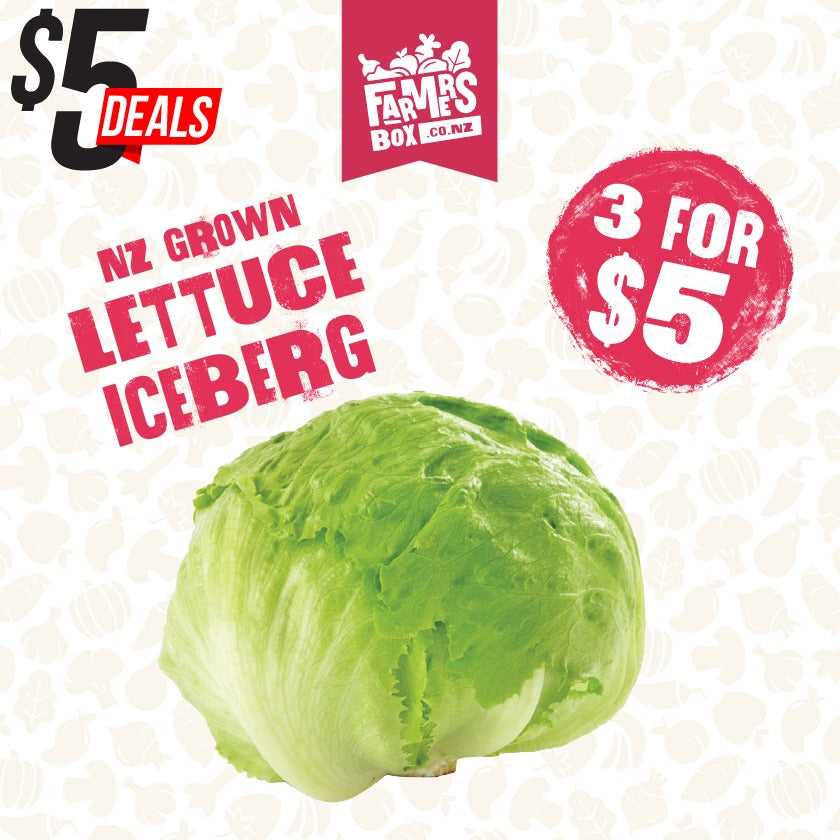 LETTUCE ICEBERG FRESH CUT EACH( Rētihi)