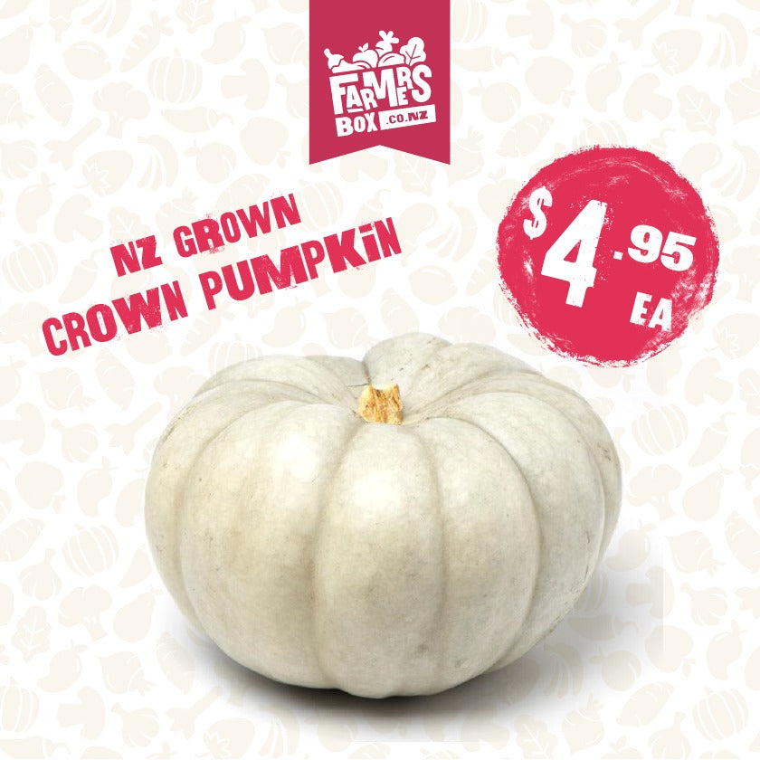 PUMPKIN CROWN MEDIUM-LARGE ( papuka karauna)