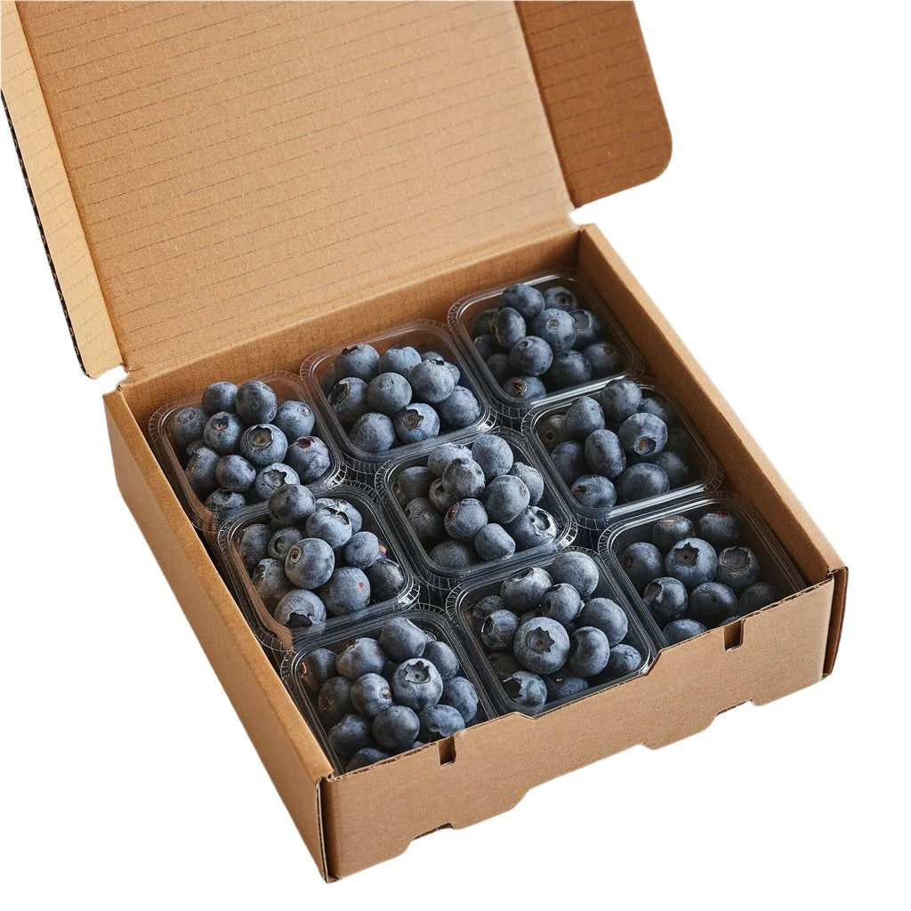 Twelve punnets of fresh, plump blueberries neatly arranged in an open cardboard box, showcasing farm-fresh quality