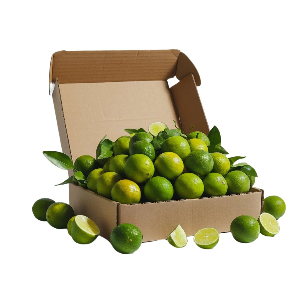 Vibrant green, fresh limes filling an open cardboard box, showcasing grove-fresh quality and abundance