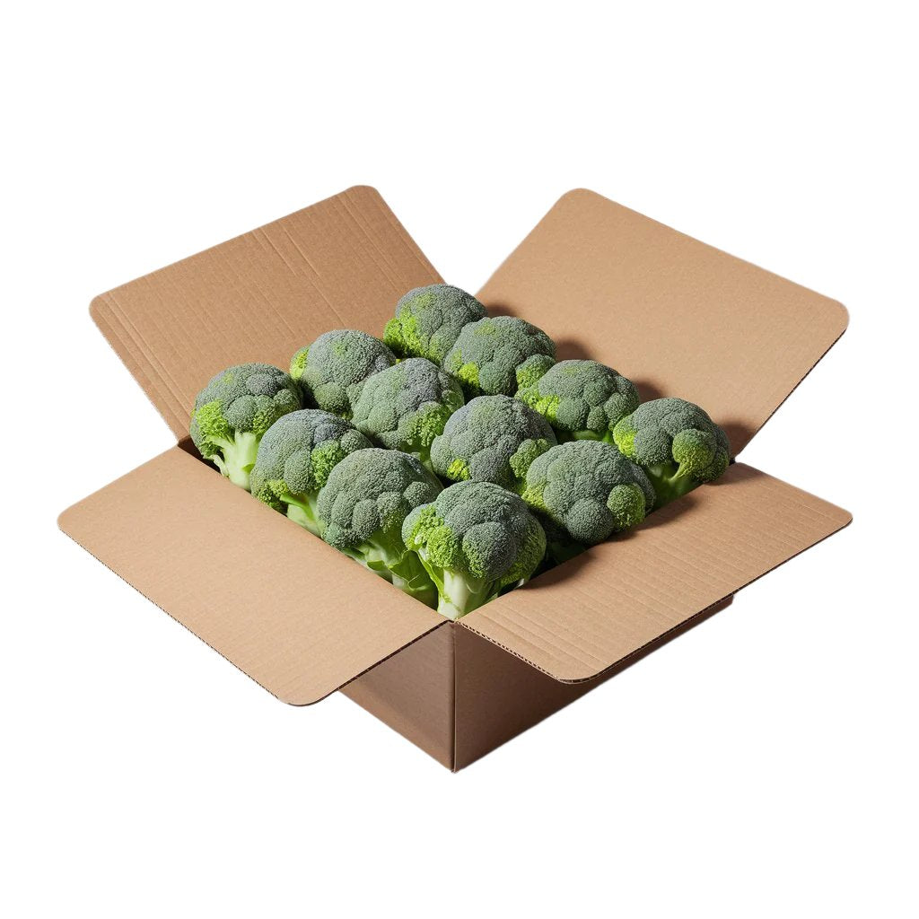 Twelve fresh green broccoli heads neatly arranged in an open cardboard box, showcasing farm-fresh quality