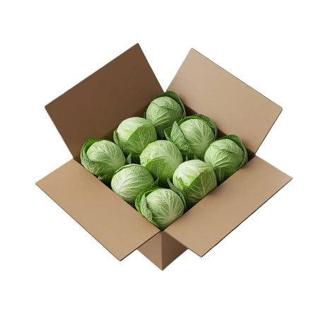 Eight fresh green cabbage heads neatly arranged in an open cardboard box, showcasing farm-fresh quality