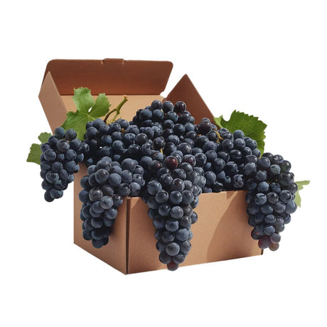 Clusters of glossy, deep purple-black grapes overflowing from an open cardboard box, showcasing premium vineyard-fresh quality