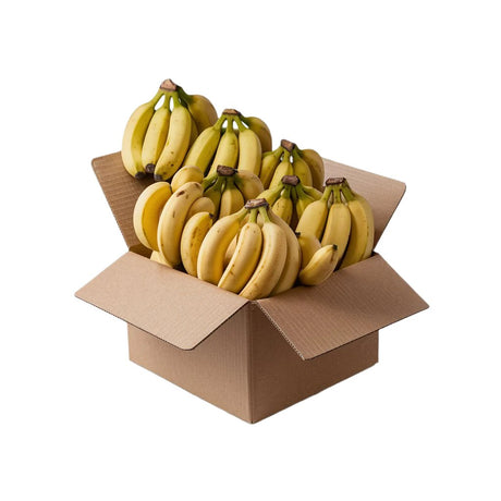 Fifteen bunches of fresh Bobby bananas with golden-yellow color, neatly arranged in an open cardboard box, showcasing farm-fresh quality