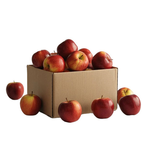 Freshly picked Royal Gala apples overflowing from an open cardboard box, showcasing orchard-fresh quality