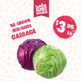 CABBAGE GREEN EACH (Kapeti)