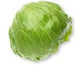 LETTUCE ICEBERG FRESH CUT EACH( Rētihi)