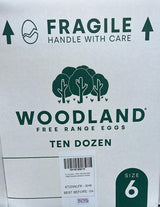 EGGS FREE RANGE 20 CT SIZE 6