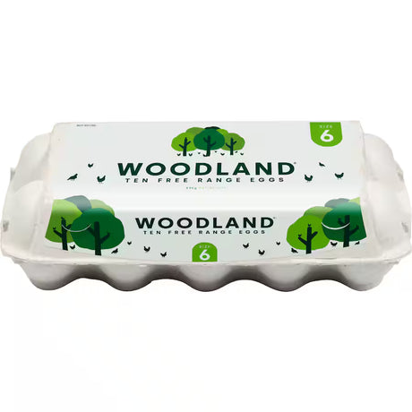 EGGS FREE RANGE 10 PACK SIZE 6