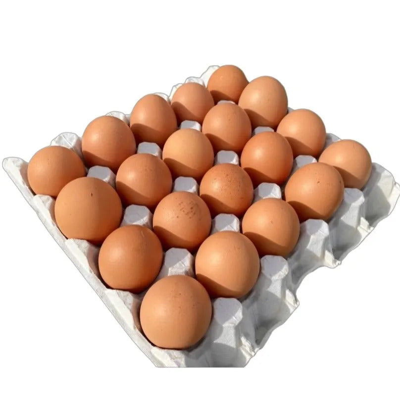 EGGS FREE RANGE 20 CT SIZE 6