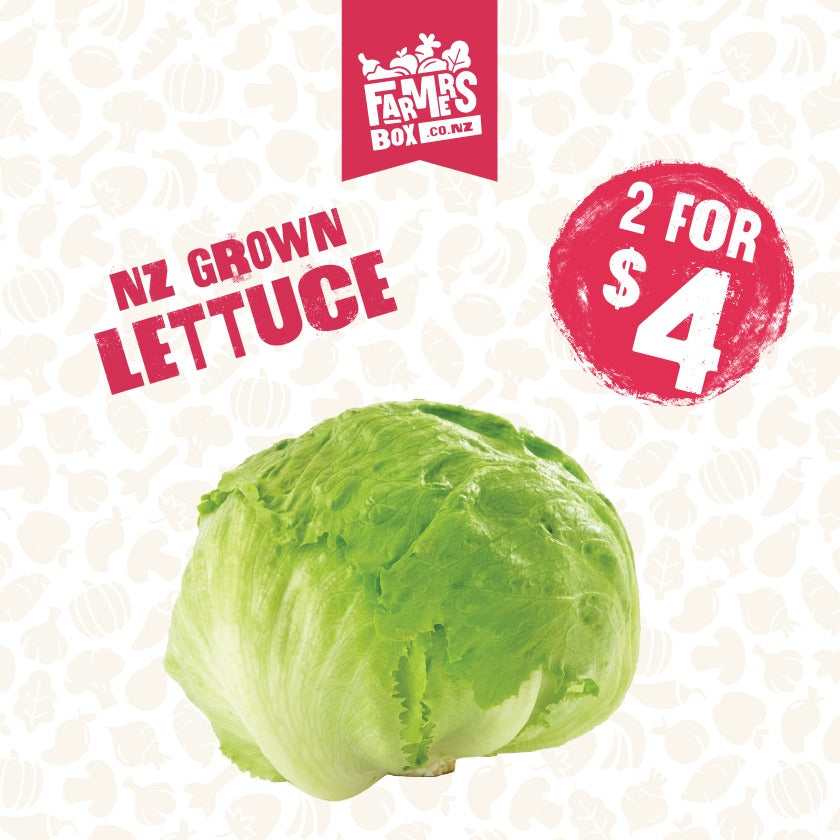 LETTUCE ICEBERG FRESH CUT EACH( Rētihi)