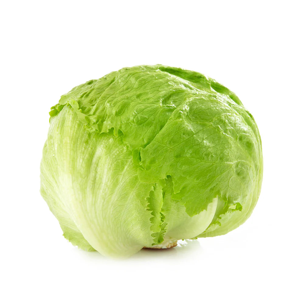 LETTUCE ICEBERG FRESH CUT EACH( Rētihi)