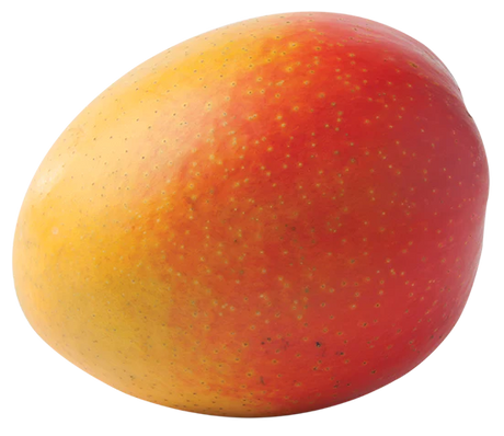 AUSTRALIAN MANGOES EACH