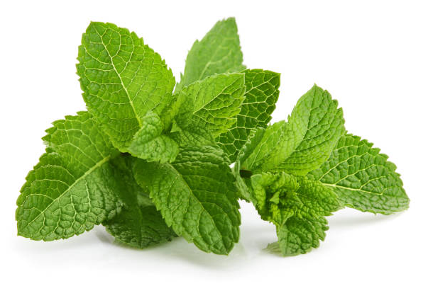Mint 1KG Bag - Fresh & Aromatic - Farmers Box