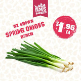 ONIONS SPRING BUNCH ( Aniana Puna)