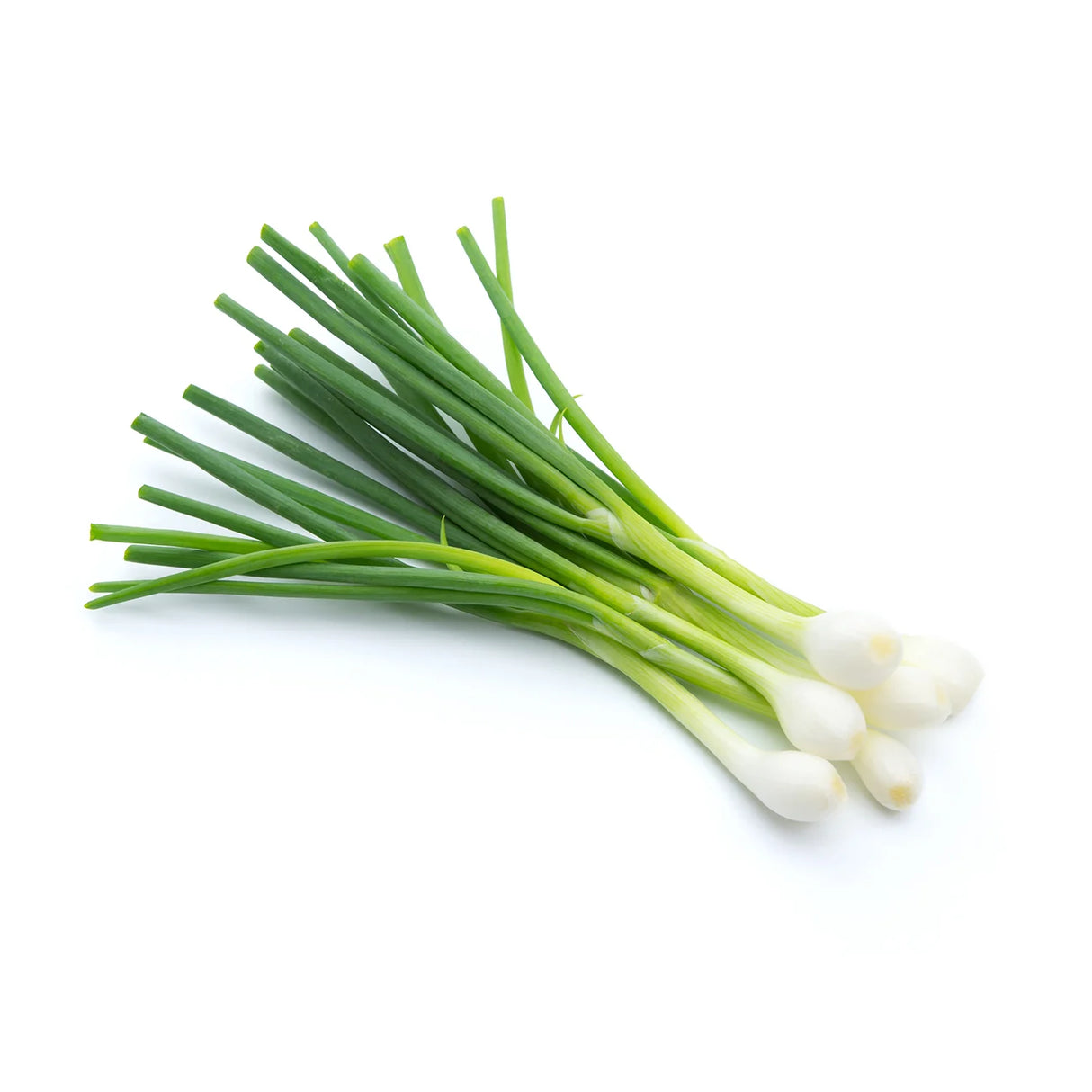 ONIONS SPRING BUNCH ( Aniana Puna)