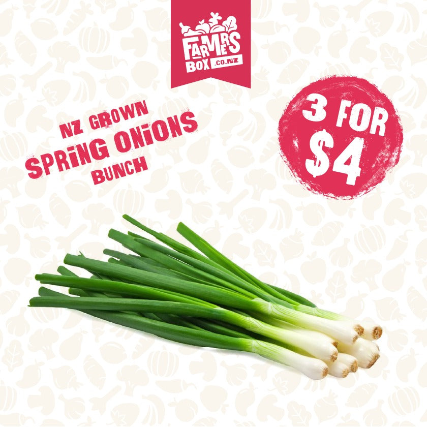 ONIONS SPRING BUNCH ( Aniana Puna)