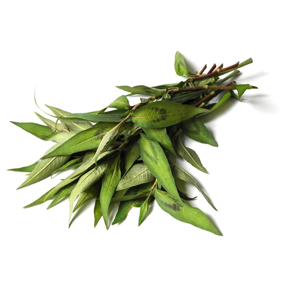 HERBS VIETNAMESE MINT CUT 15GM (miniti)